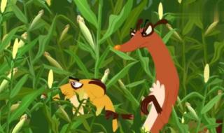 小鸡不好惹主题曲 小鸡不好惹主题曲