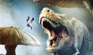 5d动感电影 5d动感电影