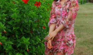 江一燕演过的电视剧 江一燕演过的电视剧