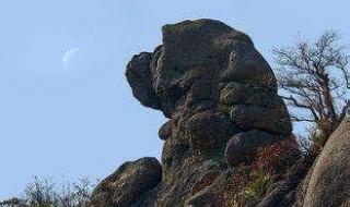 黄山奇石狮子抢球图片 黄山奇石狮子抢球图片