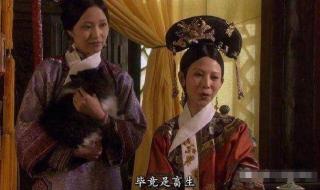 偏偏喜欢你谐音歌词